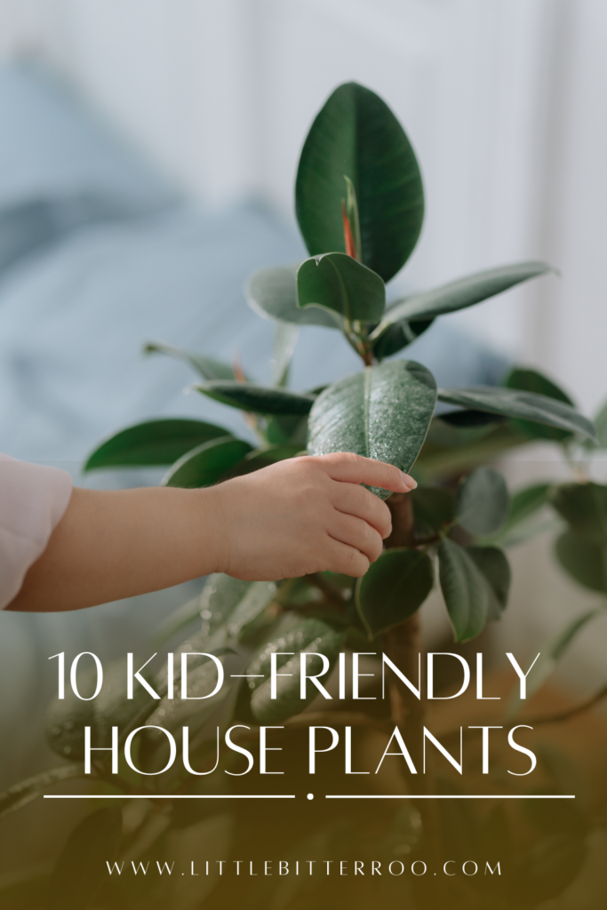 Kid-Friendly House Plants